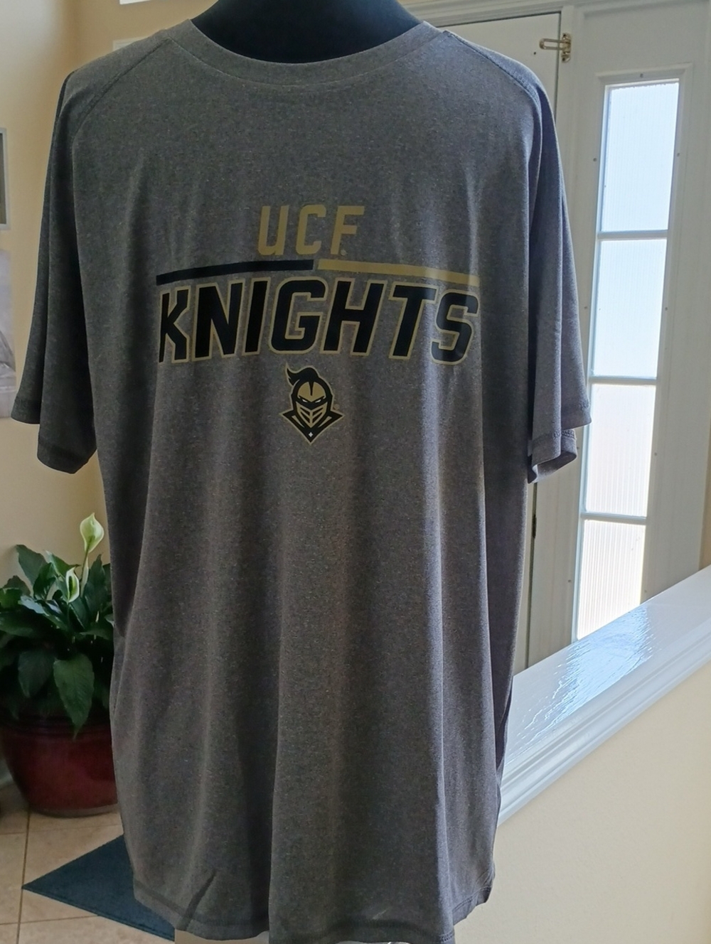Pro Edge Gray and Gold UCF Knights Short Sleeve Tee